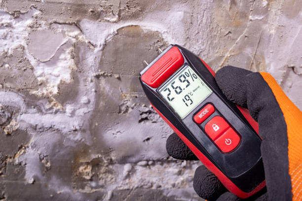 Best Residential Mold Removal  in Bowling Green, VA