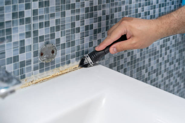Best Toxic Mold Removal  in Bowling Green, VA