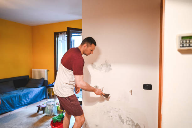 Best Mold Damage Repair  in Bowling Green, VA